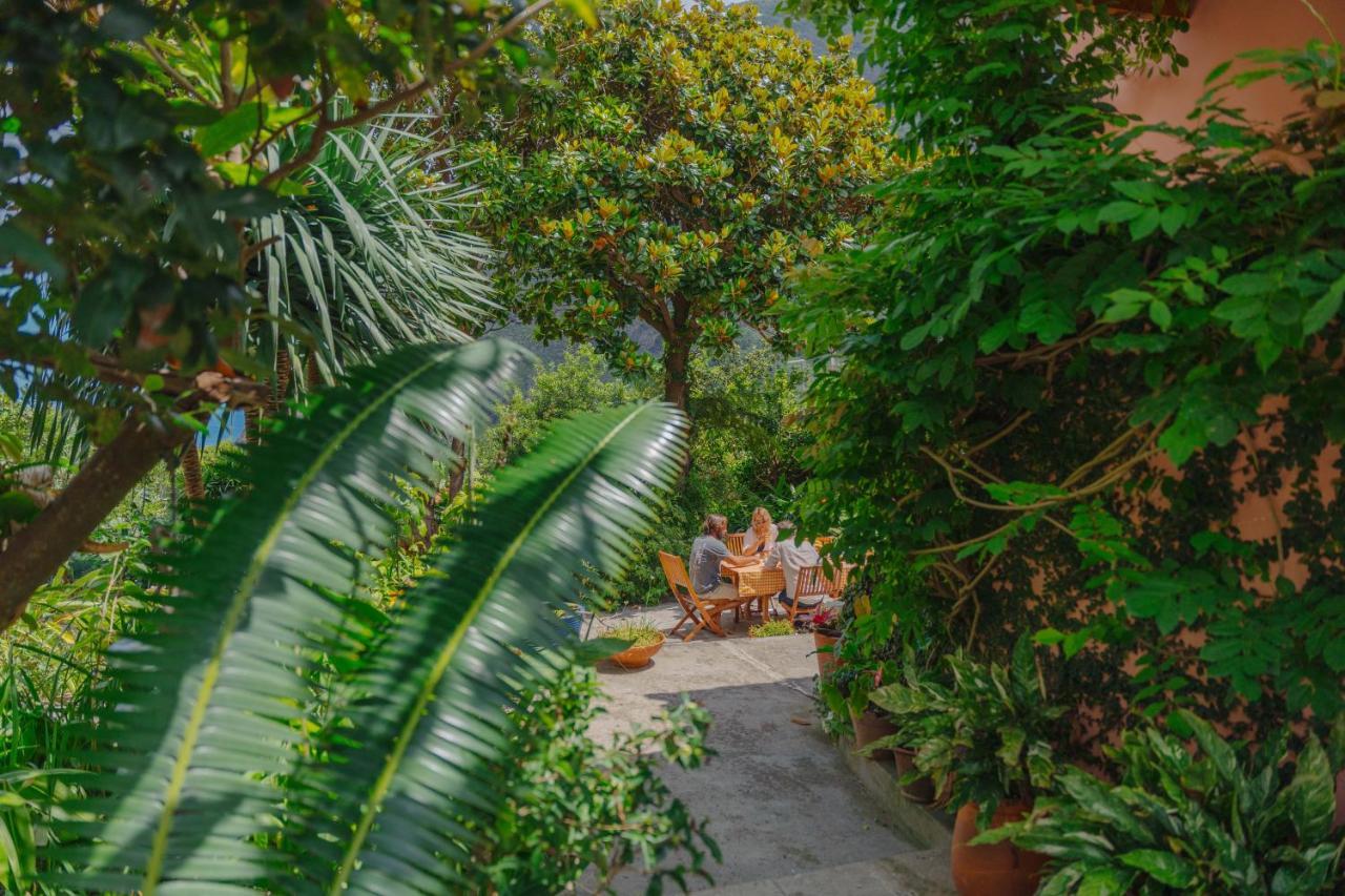 Madeira Surf Lodge Sao Vicente  Exterior photo